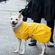 日本手作書 うちの犬のためのソーイング